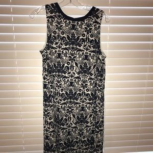 Loft Navy and Cream Shift Dress- M
